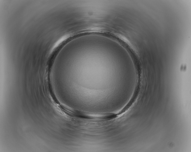X0000091921450200709051430