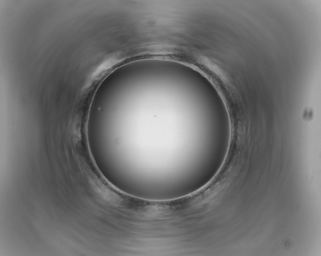 X0000091921451200709051430