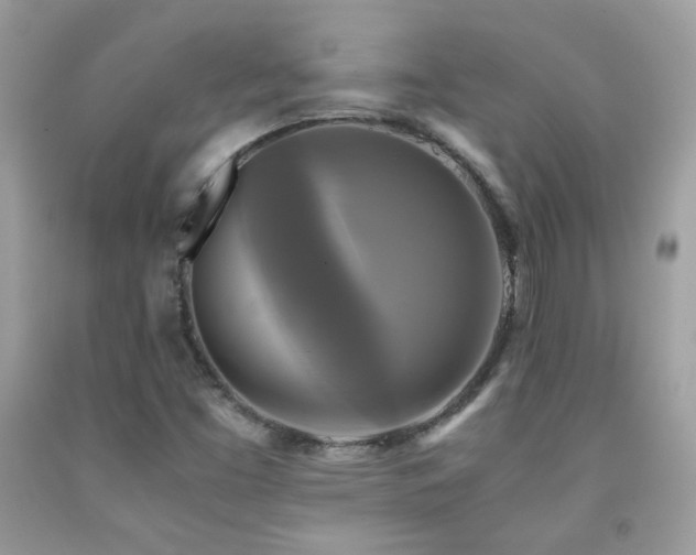 X0000091921453200709051430