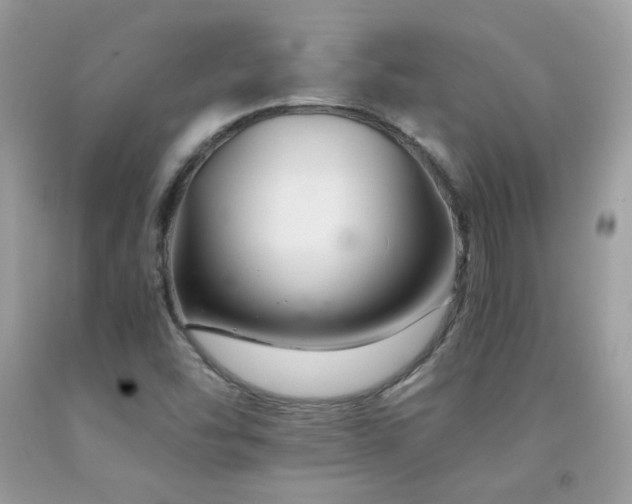 X0000091921454200709051430