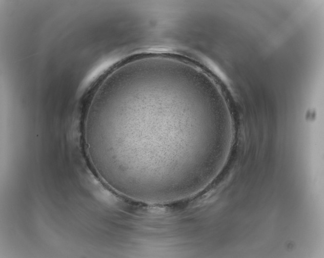 X0000091921456200709051430