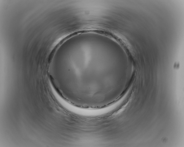 X0000091921457200709051430