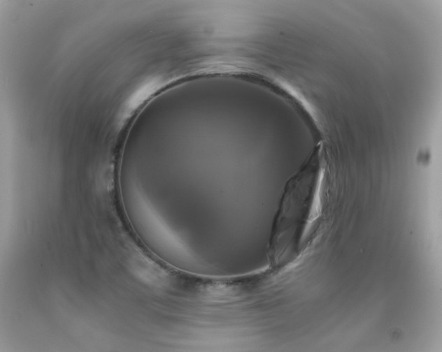 X0000091921459200709051429