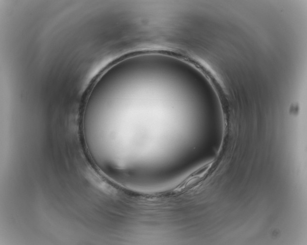 X0000091921460200709051429