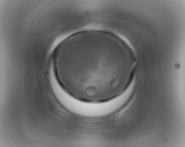 X0000091921461200709051429