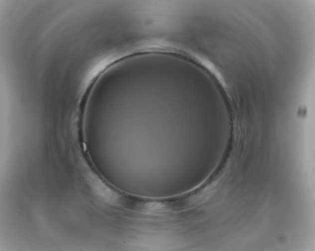 X0000091921463200709051429