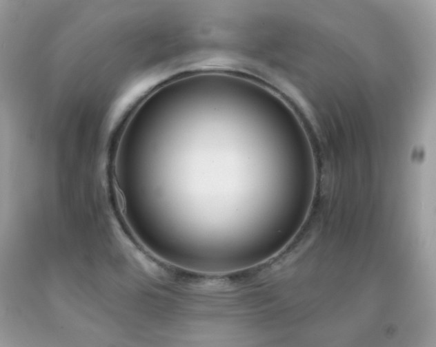 X0000091921464200709051429