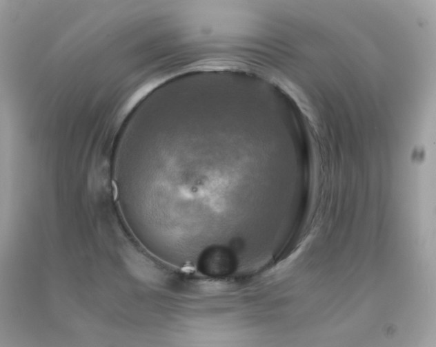 X0000091921465200709051429