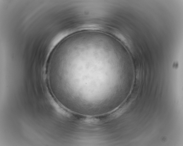 X0000091921466200709051429