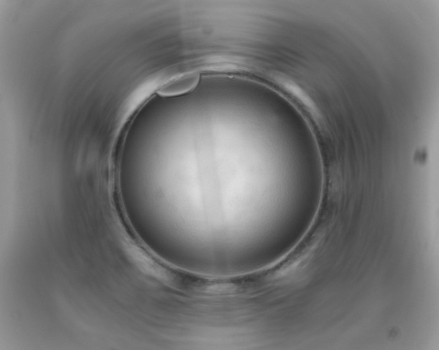 X0000091921467200709051429