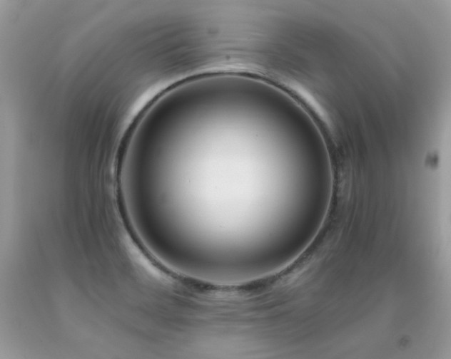 X0000091921468200709051429