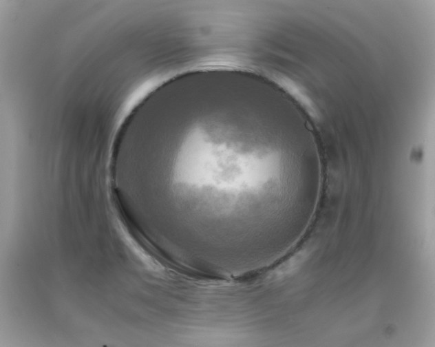 X0000091921469200709051429