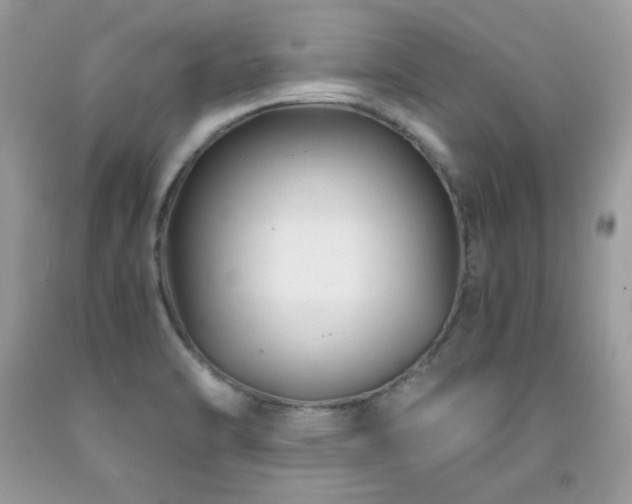 X0000091921470200709051429