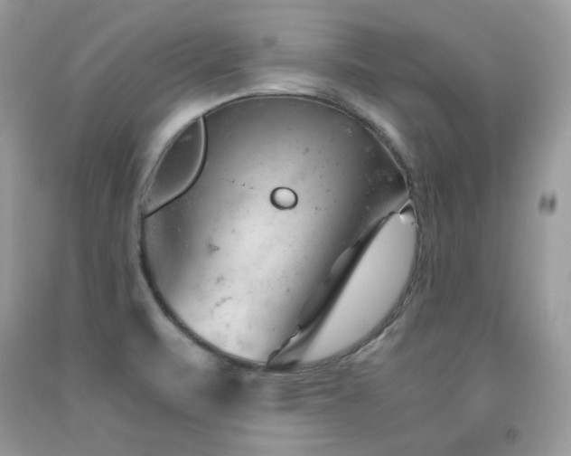 X0000091921471200709051429