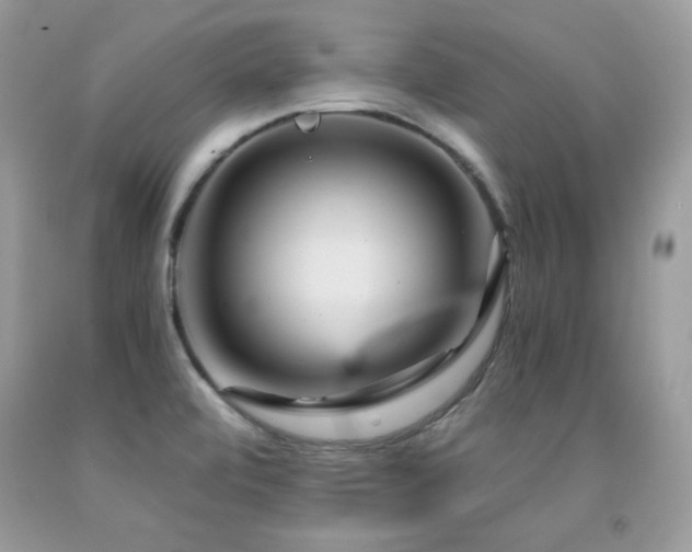 X0000091921472200709051429