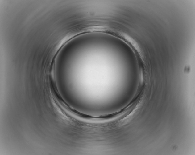 X0000091921473200709051429