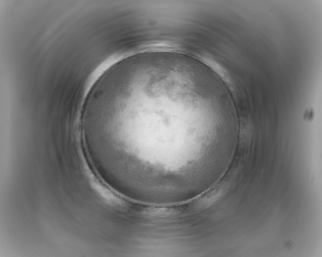 X0000091921474200709051429