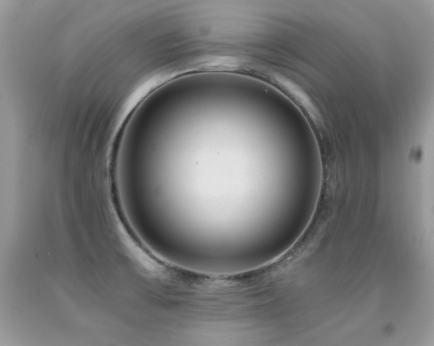 X0000091921475200709051429
