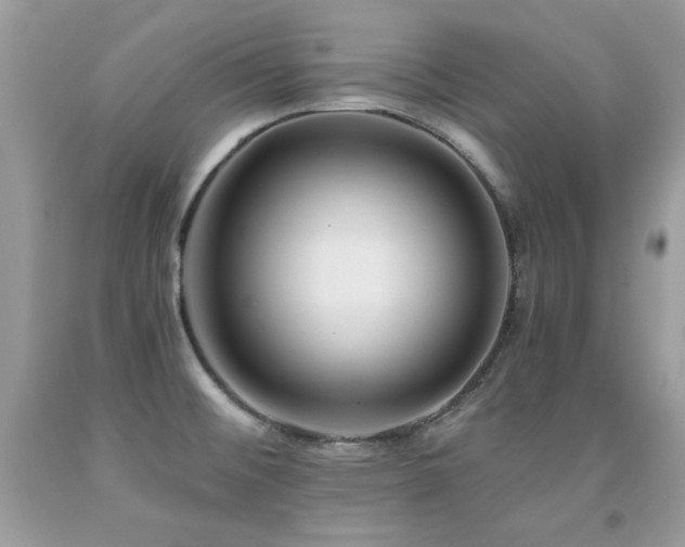 X0000091921476200709051429