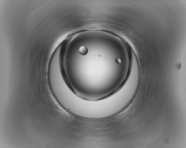 X0000091921477200709051429