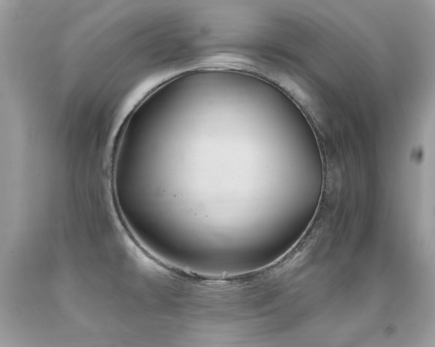 X0000091921478200709051429