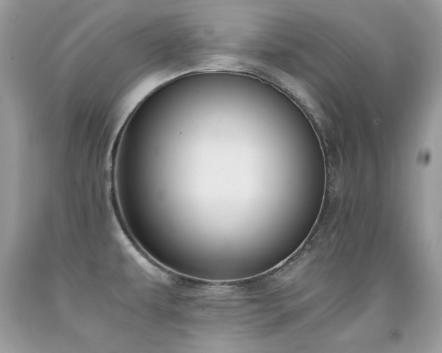 X0000091921479200709051429