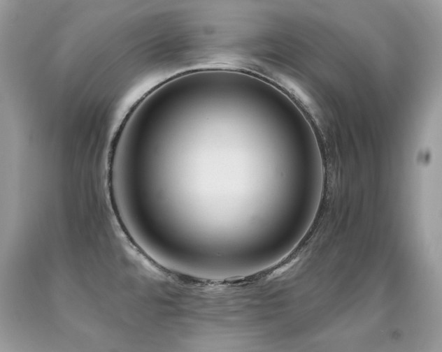 X0000091921480200709051429