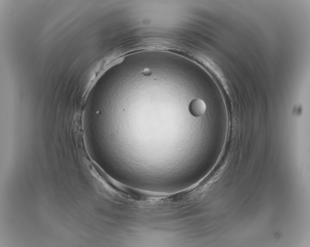 X0000091921481200709051429