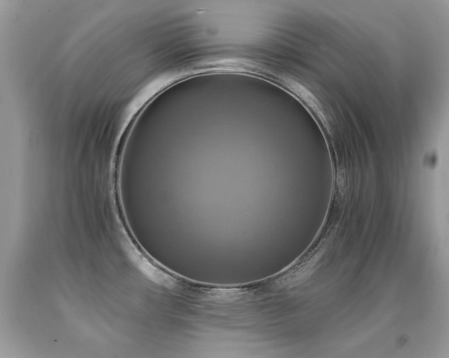 X0000091921482200709051429