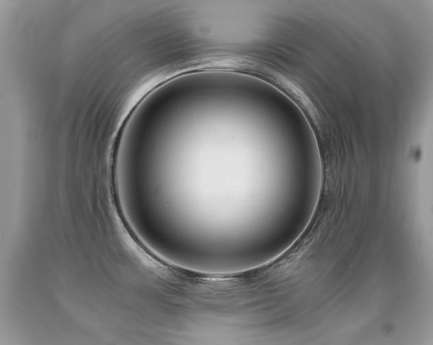 X0000091921483200709051429