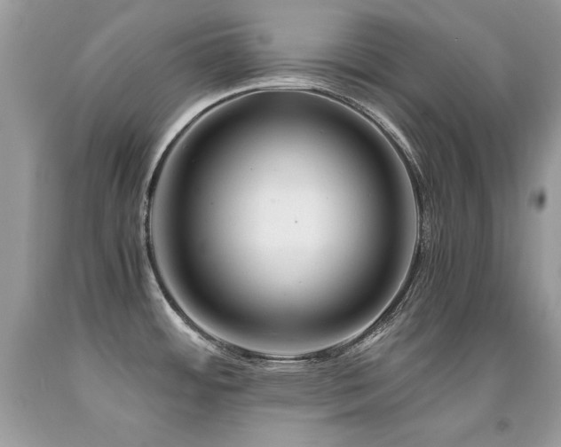 X0000091921484200709051429