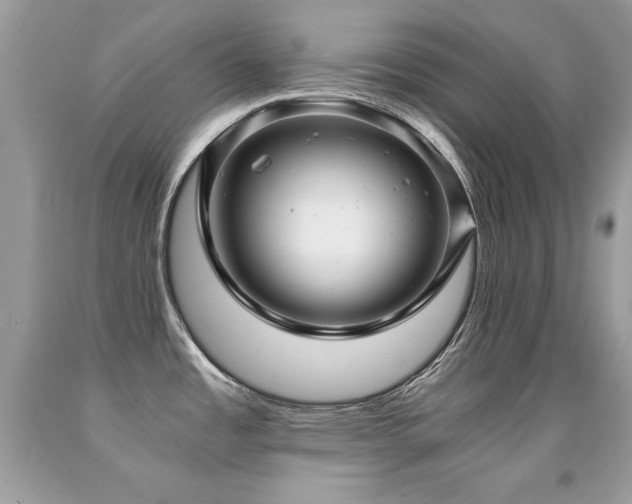 X0000091921485200709051429