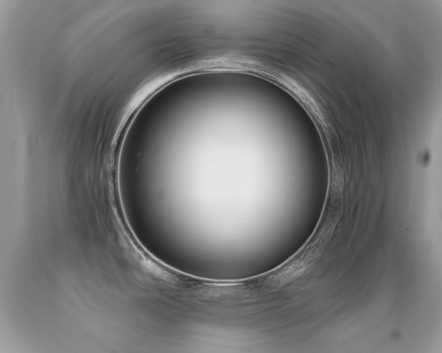 X0000091921486200709051429