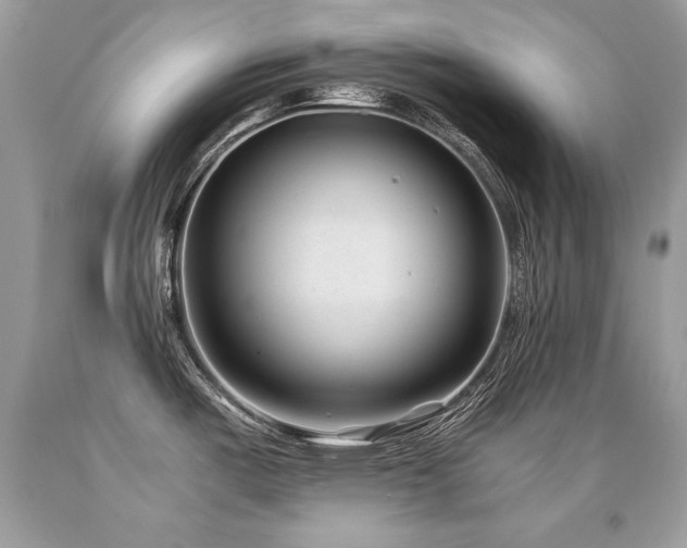 X0000091921487200709051429