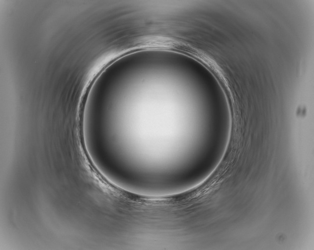 X0000091921488200709051429