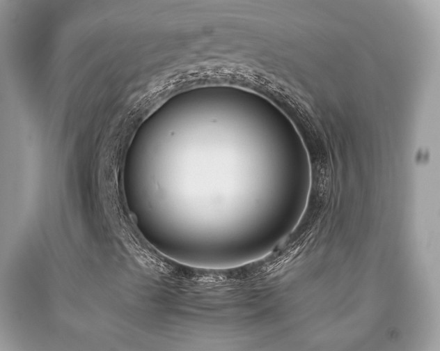X0000091921489200709051428