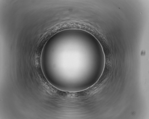 X0000091921490200709051429