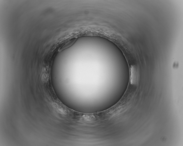 X0000091921491200709051429