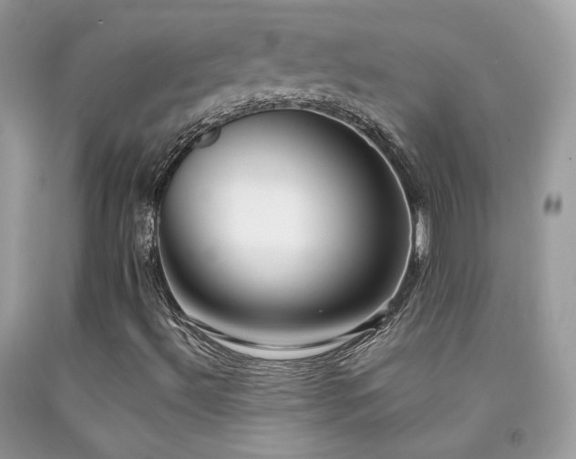 X0000091921492200709051429