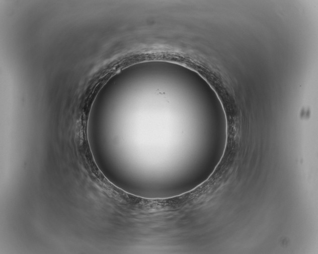 X0000091921493200709051429