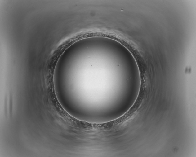 X0000091921494200709051429