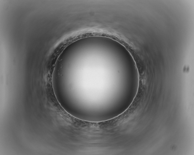 X0000091921495200709051429