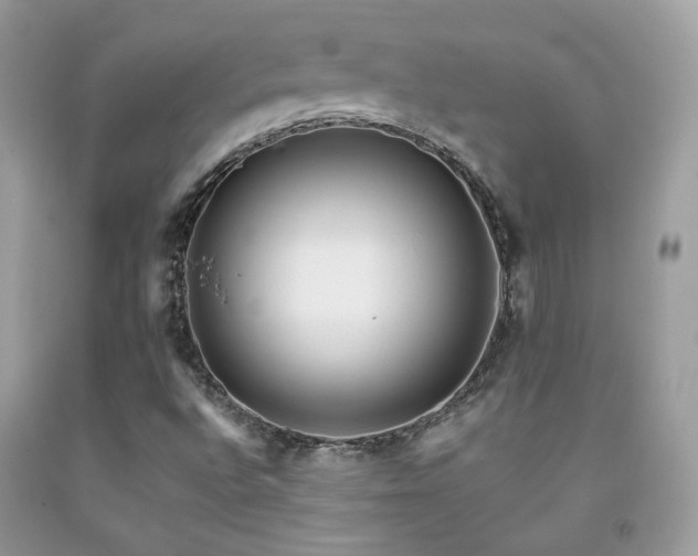 X0000091921496200709051429