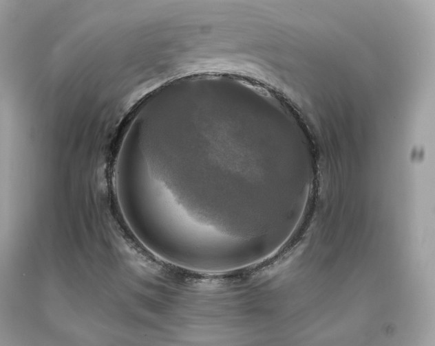 X0000091921497200709051429