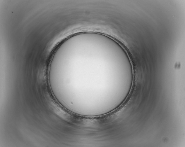 X0000091921498200709051429