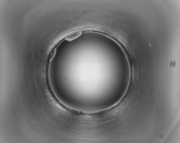 X0000091921500200709051429