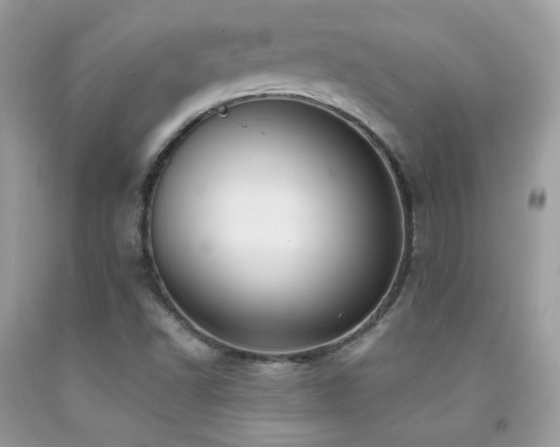 X0000091921502200709051429