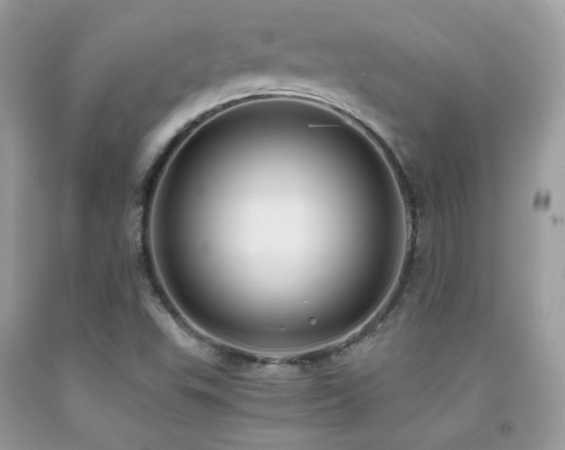 X0000091921503200709051429