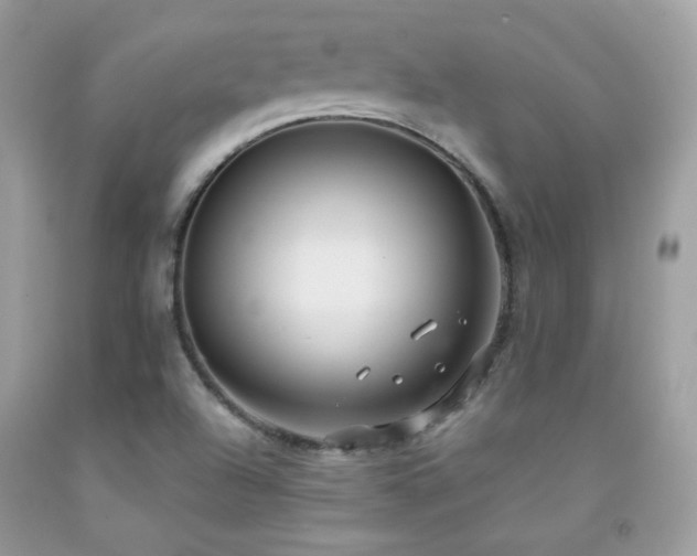 X0000091921504200709051429