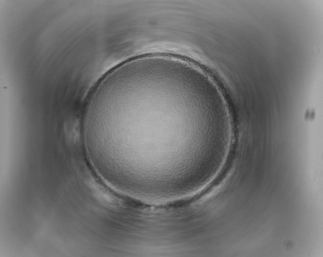 X0000091921505200709051429
